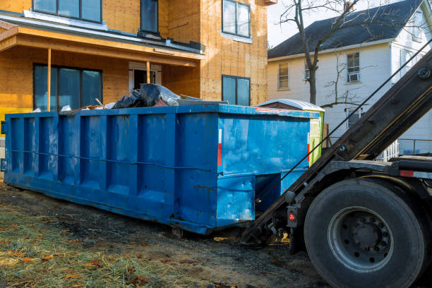 Shed Removal